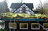 Haus Aussenfamilie