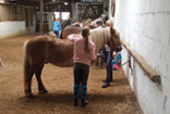 Reiten